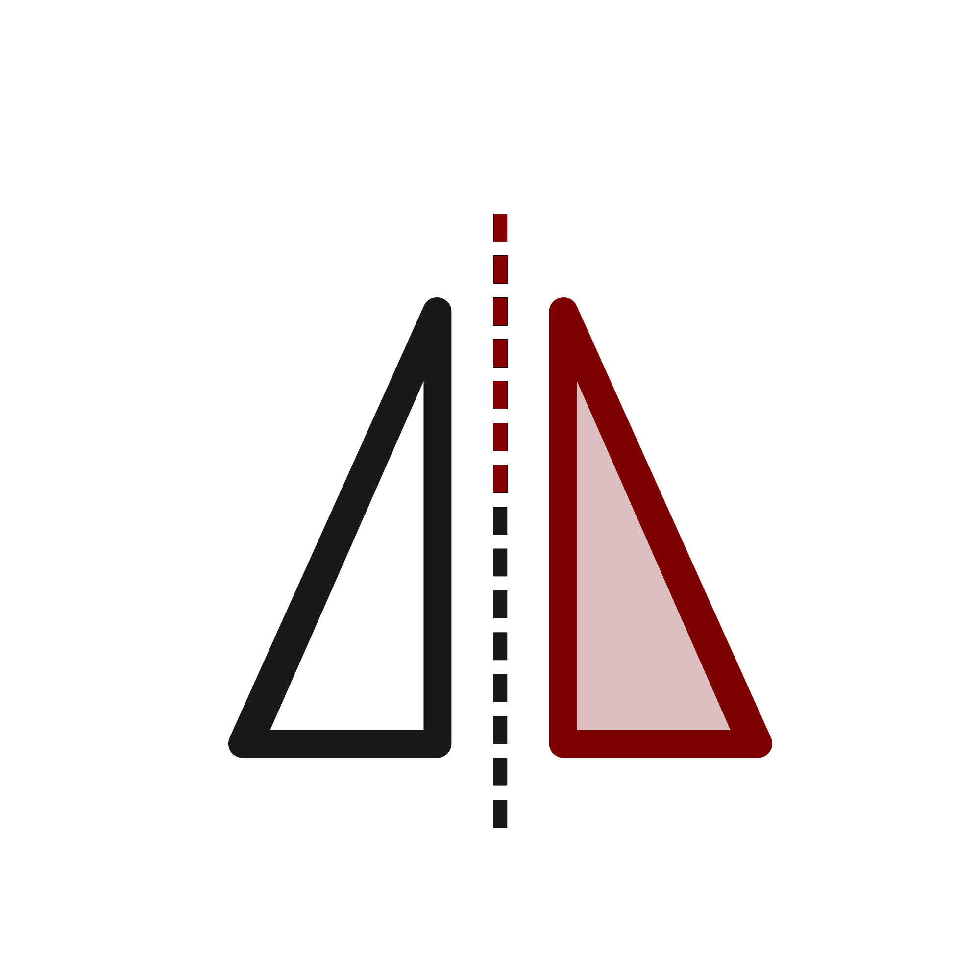 Mirror View Icon